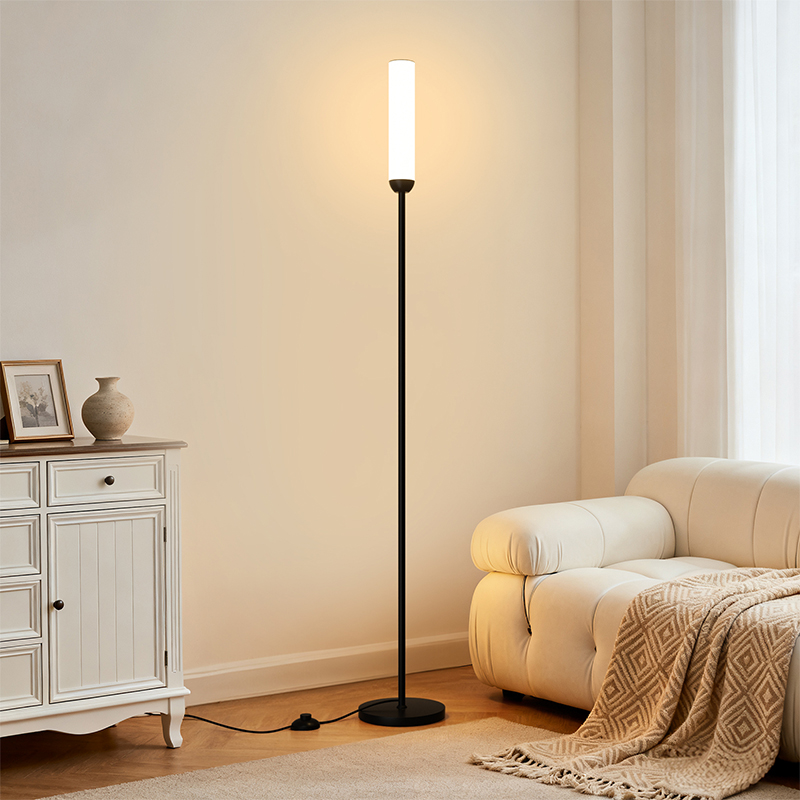 Matte Black Stepless Adjustable LED Floor Lamp with Remote Control, for Living Room, Bedroom and Office